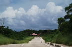 D200610_113H