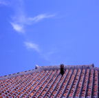 F20053301_05S