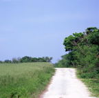 F20053301_06S