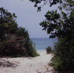 F20053301_07S