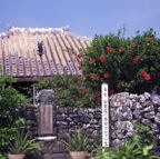 F20053303_08S