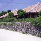 F20053303_10S