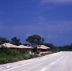 F20053303_12S