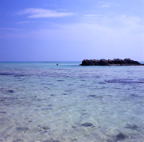 F20053304_02S