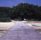 F20053304_10S