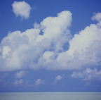 F20053306_05S