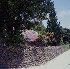 F20053307_09S