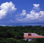 F20053308_02S