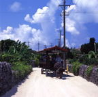 F20053308_08S