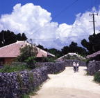 F20053308_10S