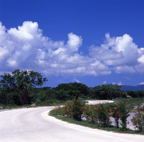 F20053309_05S