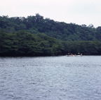 F20053402_01S