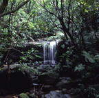 F20053403_03S