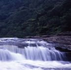 F20053404_05S