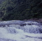 F20053404_06S