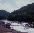 F20053404_12S