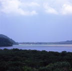 F20053405_03S