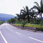 F20053405_12S