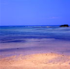 F20053407_04S