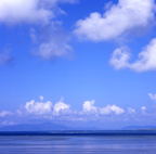 F20053408_04S