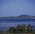 F20053408_09S