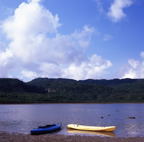 F20053409_09S