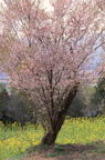 F20010101_18V
