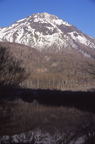 F20010301_01V