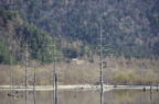 F20010301_12H