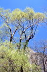 F20010302_06V