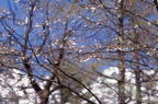 F20010302_11H