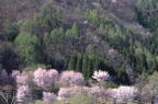 F20030302_07H