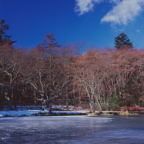 F20060101_03S