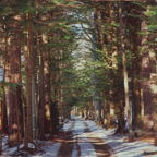 F20060102_11S