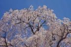 F20061701_01H