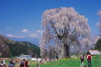 F20061701_17H