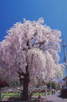 F20061702_26V