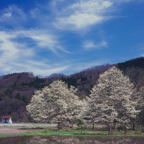 F20072302_02S