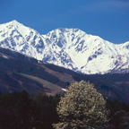 F20072403_09S