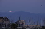 D200756_001H
