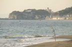 D2008006_043H