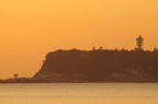 D2008006_118H