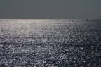 D2008008_055H