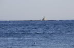 D2008008_116H