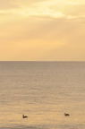 D2008012_076V