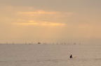 D2008012_099H