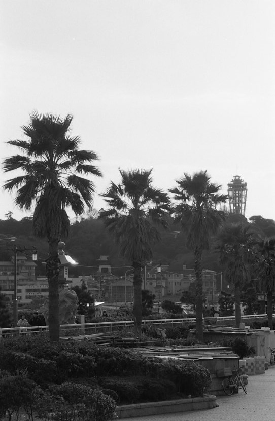 F20080101_19V