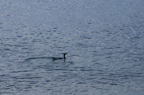 D2008013_048H