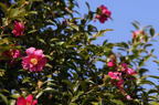 D2008020_084H