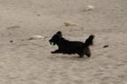 D2008021_076H